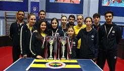 Dortmund Derneği Masa Tenisi Takımlarımızdan çifte şampiyonluk: Kadın Takımımız 17., Erkek Takımımız ise 7. şampiyonluğunu kazandı